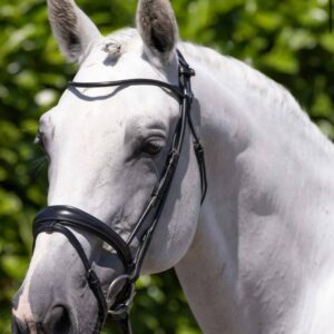 Finetti Rolled Leather Snaffle Bridle Black