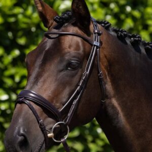 Finetti Rolled Leather Snaffle Bridle Brown