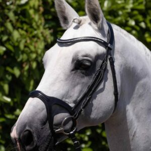 San Paolo Anatomical Bridle Black