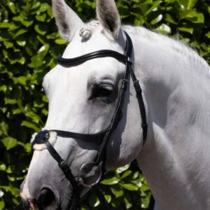 Glorioso Grackle Bridle Black