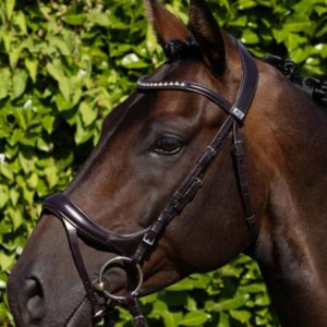 Palazzo Anatomical Bridle Brown