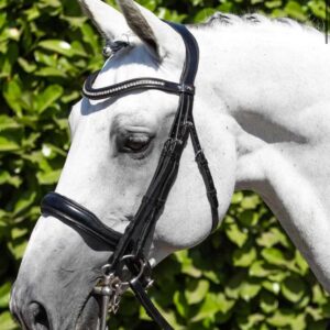 Abriano Anatomic Double Bridle Black