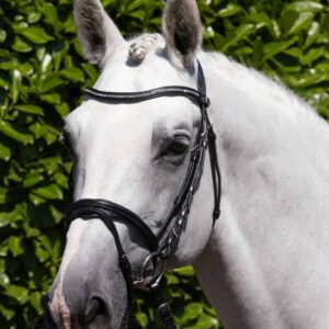 Rivere Snaffle Bridle Black