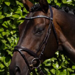 Rivere Snaffle Bridle Brown