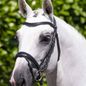 Cassano Snaffle Bridle Black