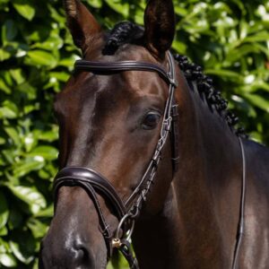 Cassano Snaffle Bridle Brown