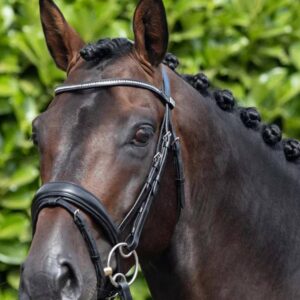 Stellazio Anatomic Snaffle Bridle with Flash Black