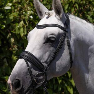 Veneto Anatomical Snaffle Bridle Black