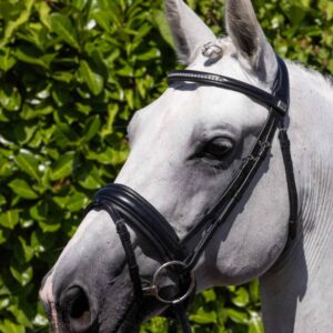 Castello Anatomical Bridle in Black