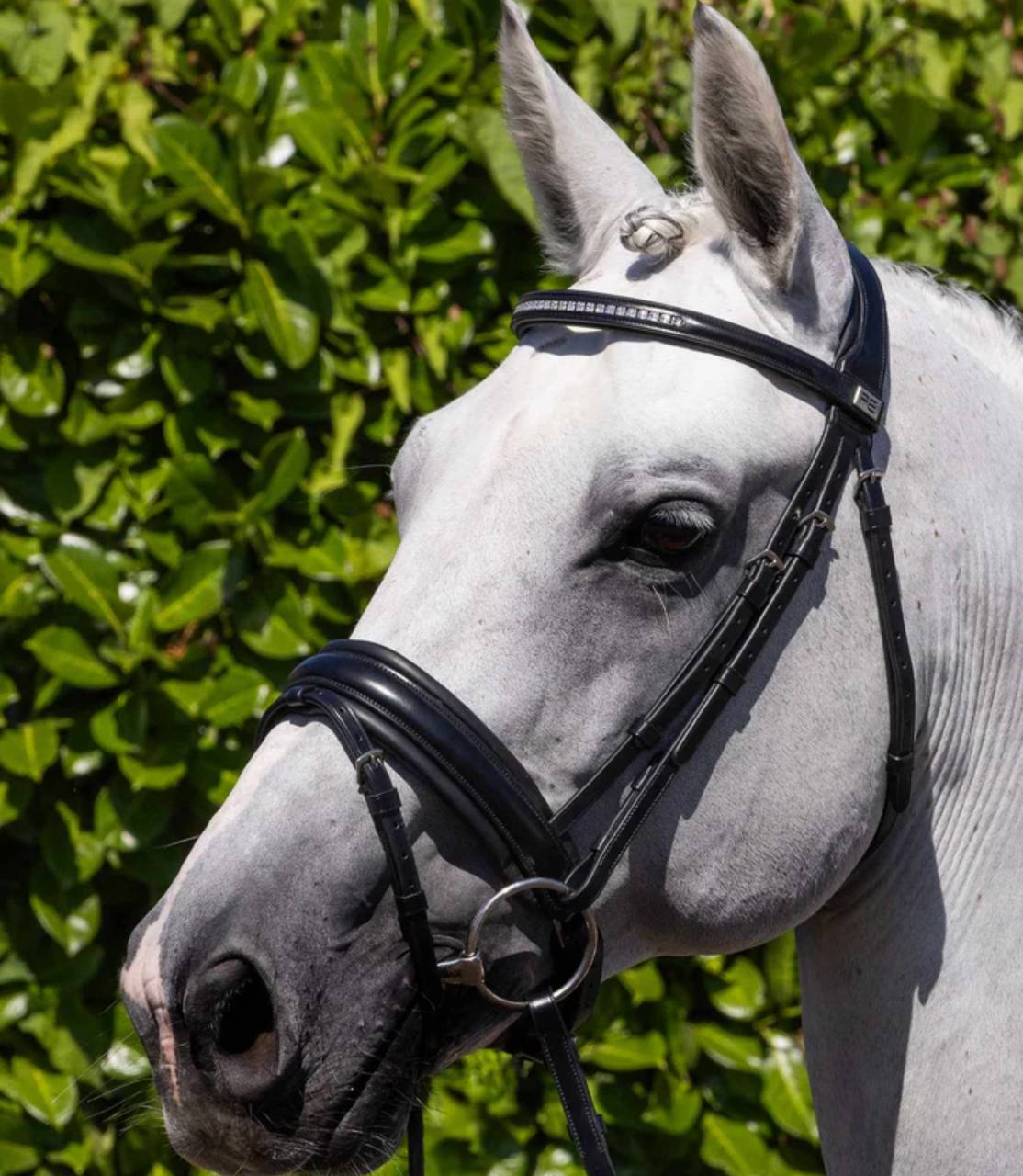 Castello Anatomical Bridle in Black