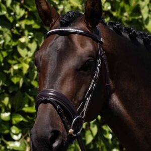 Castello Anatomical Bridle Brown