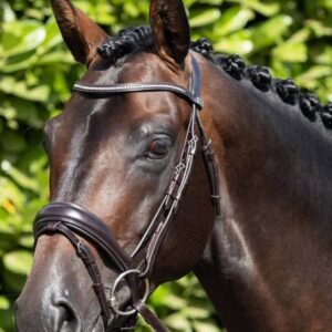 Stellazio Anatomic Snaffle Bridle with Flash Brown