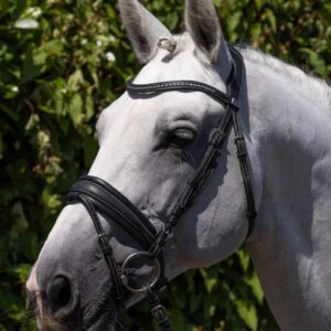 Veneto Anatomical Snaffle Bridle Black