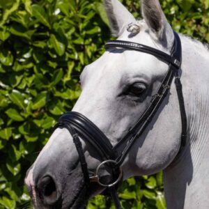 Castello Anatomical Bridle in Black
