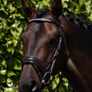 Castello Anatomical Bridle Brown