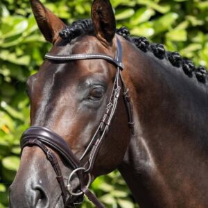Stellazio Anatomic Snaffle Bridle with Flash Brown