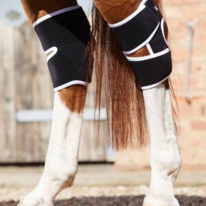 Magni-Teque Magnetic Hock Boots