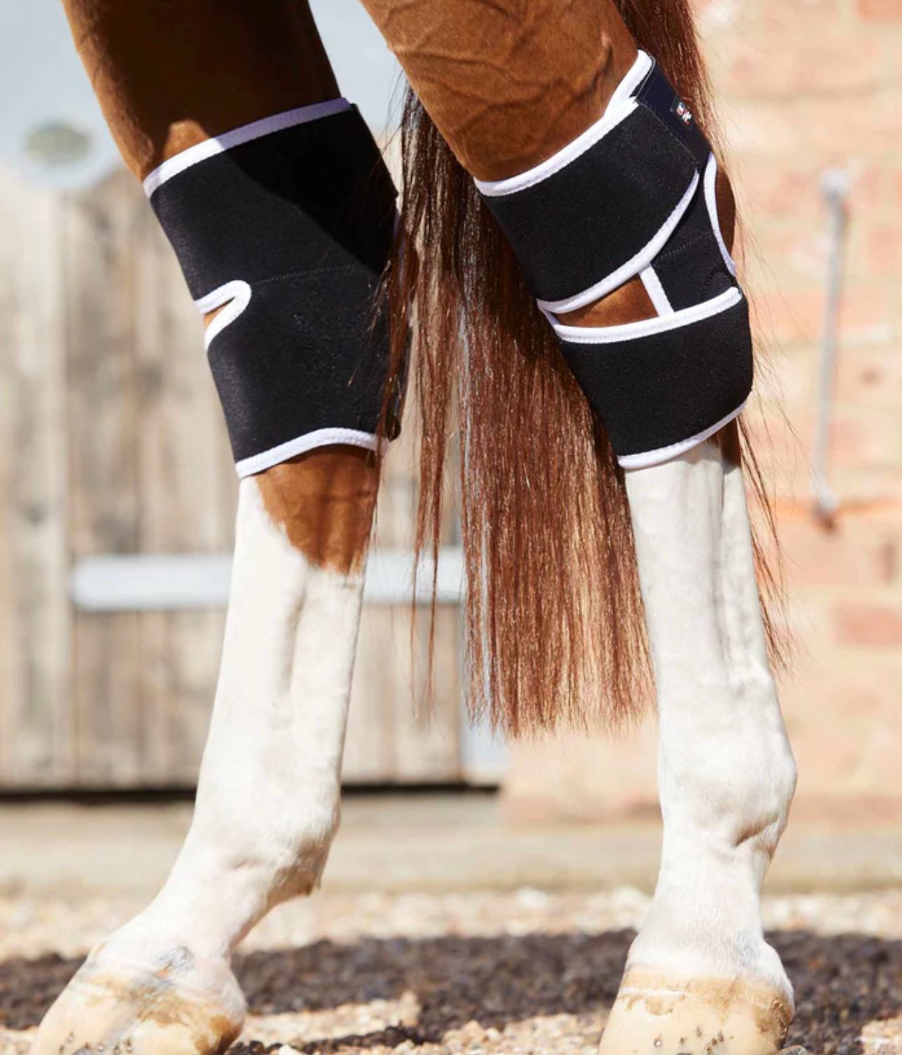 Magni-Teque Magnetic Hock Boots