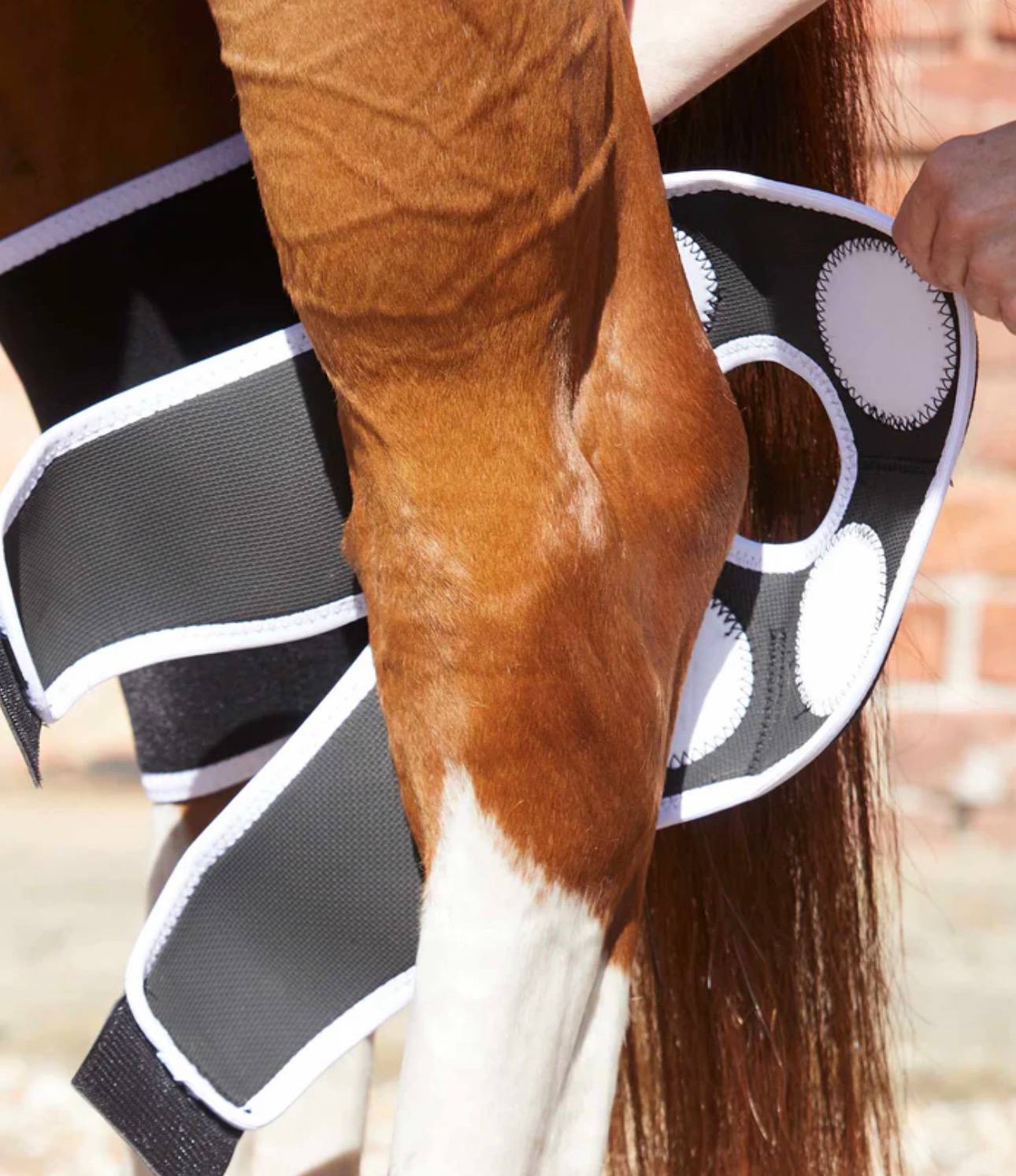 Magni-Teque Magnetic Hock Boots - Image 2