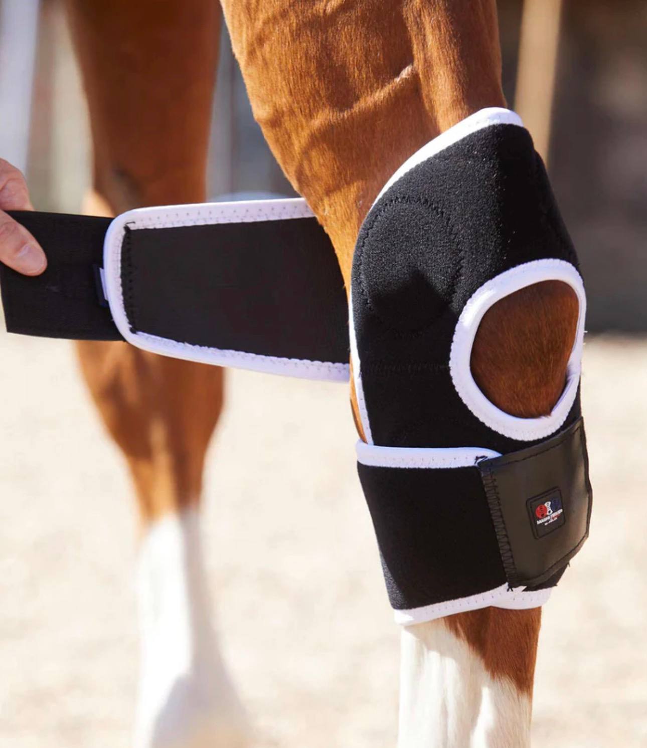 Magni-Teque Magnetic Hock Boots - Image 3