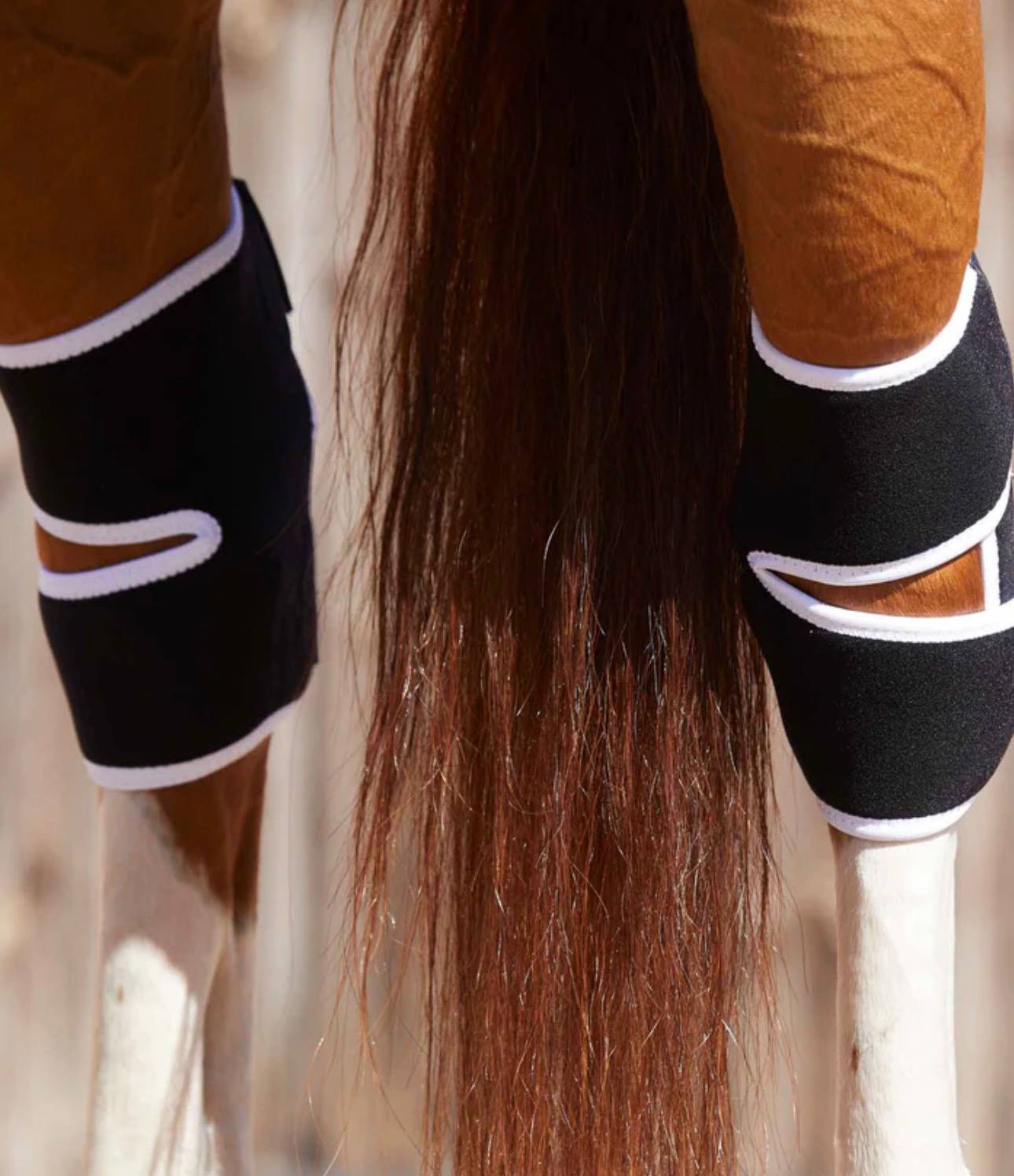 Magni-Teque Magnetic Hock Boots - Image 4