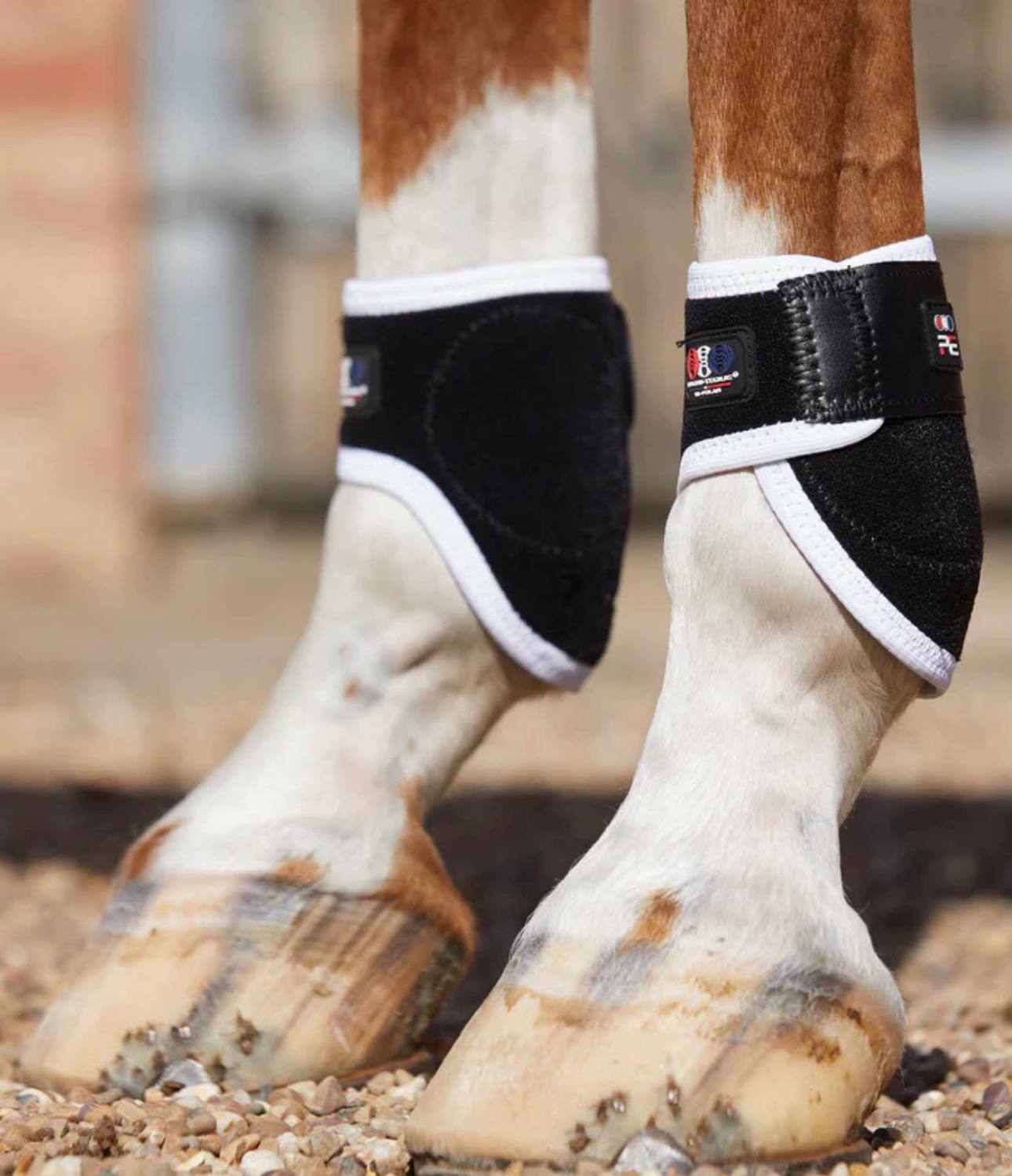 Magni-Teque Magnetic Fetlock Boots