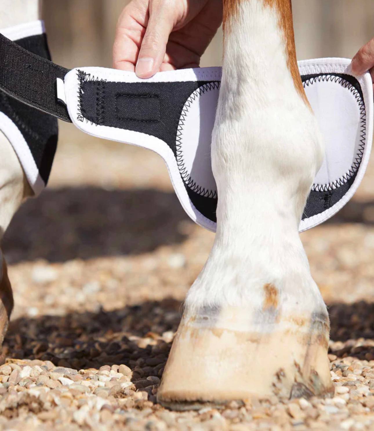 Magni-Teque Magnetic Fetlock Boots - Image 2