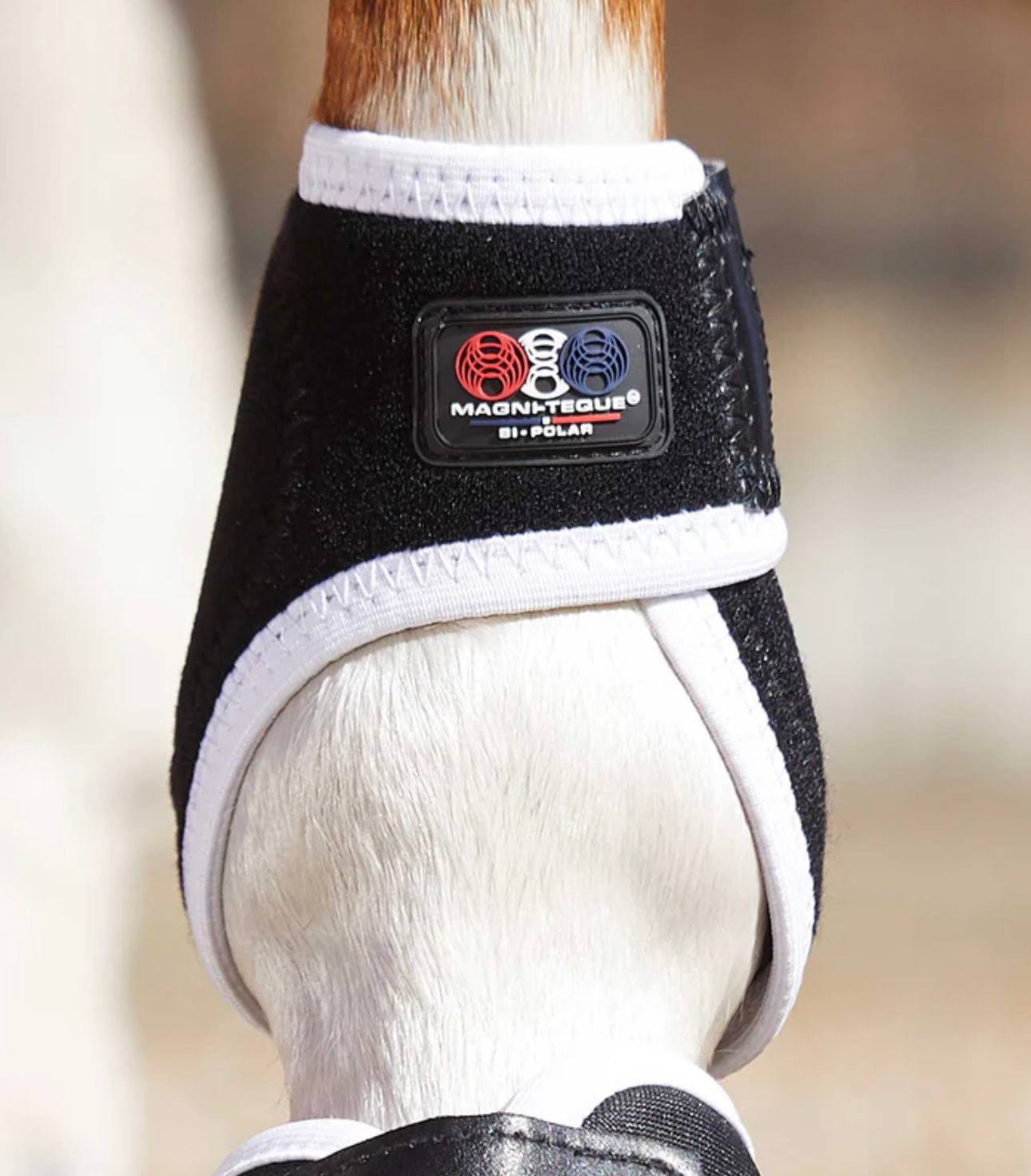 Magni-Teque Magnetic Fetlock Boots - Image 3