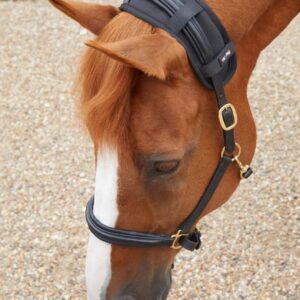 Magni-Teque Magnetic Poll Band