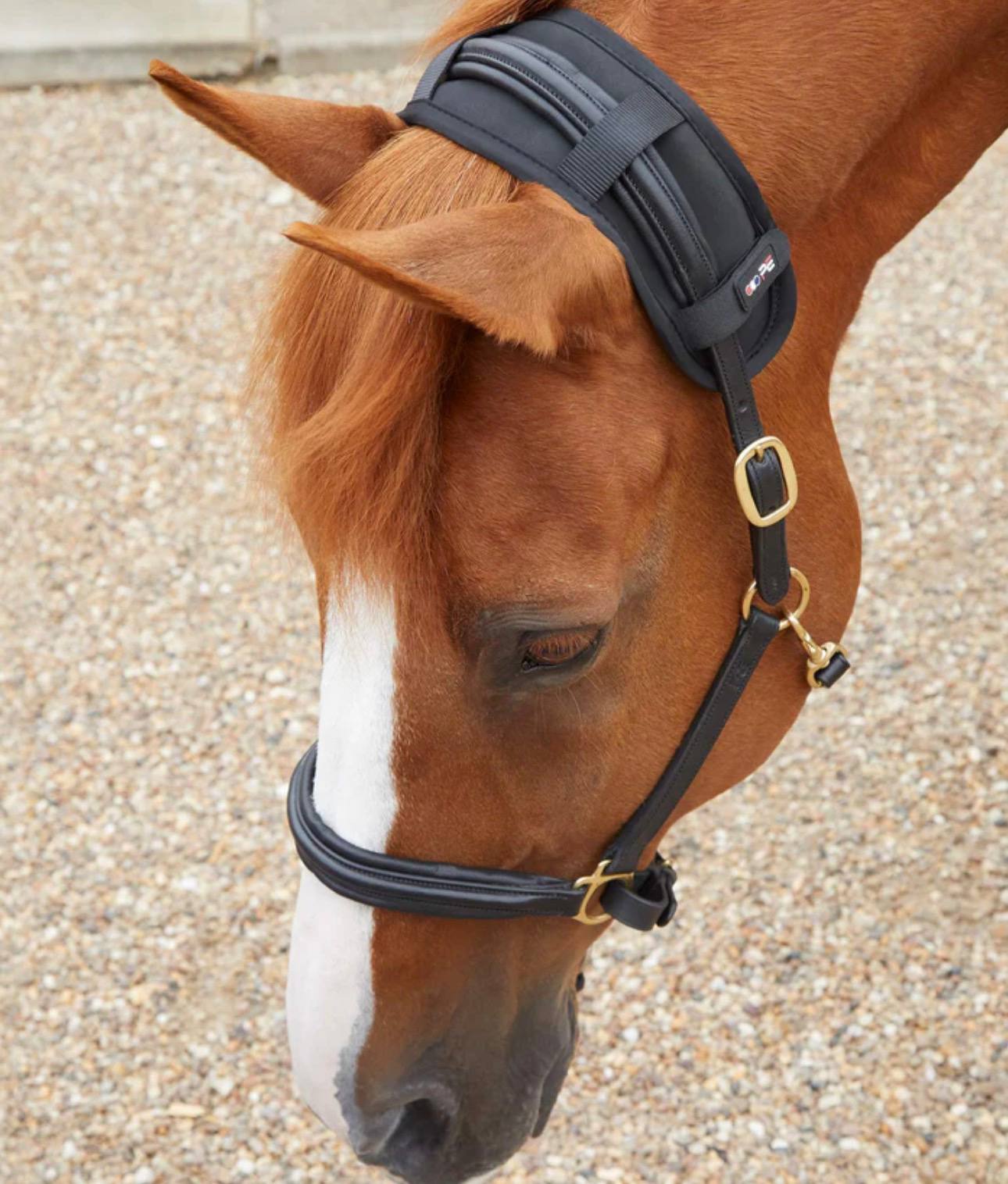 Magni-Teque Magnetic Poll Band