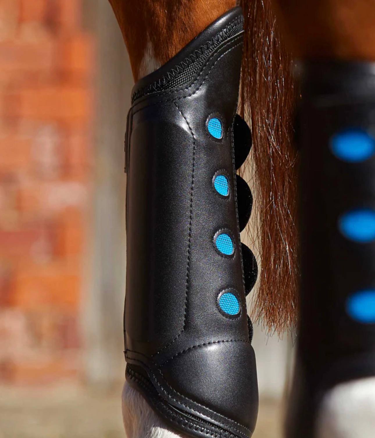 Air Cooled Original Eventing Boots Black Hind