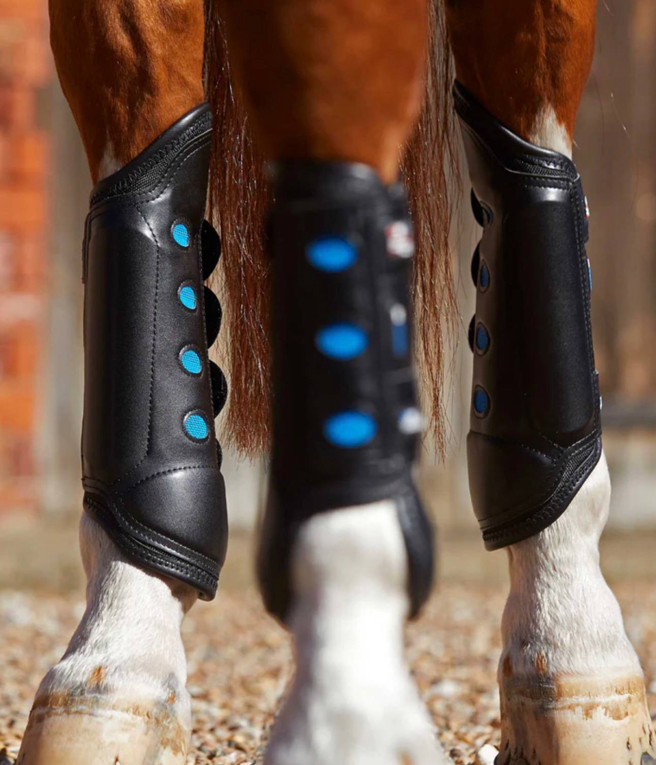 Air Cooled Original Eventing Boots Black Hind - Image 2