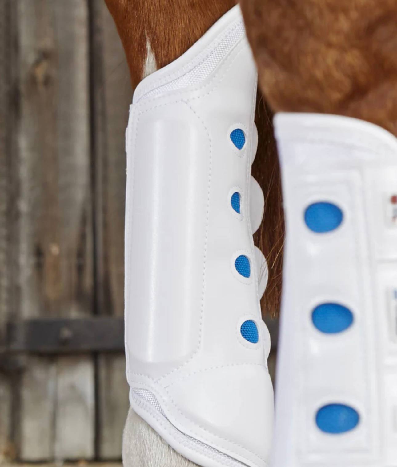 Air Cooled Original Eventing Boots White Hind