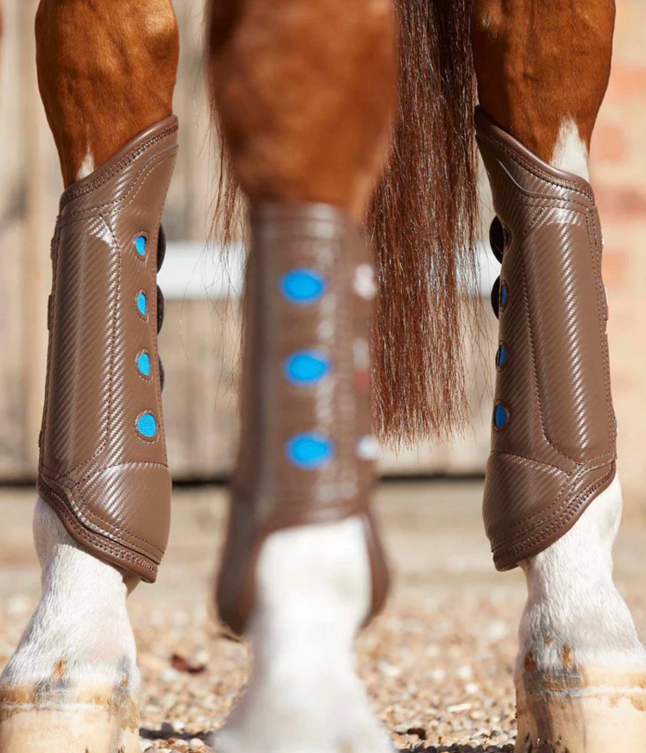 Carbon Tech Air Cooled Eventing Boots Brown Hind