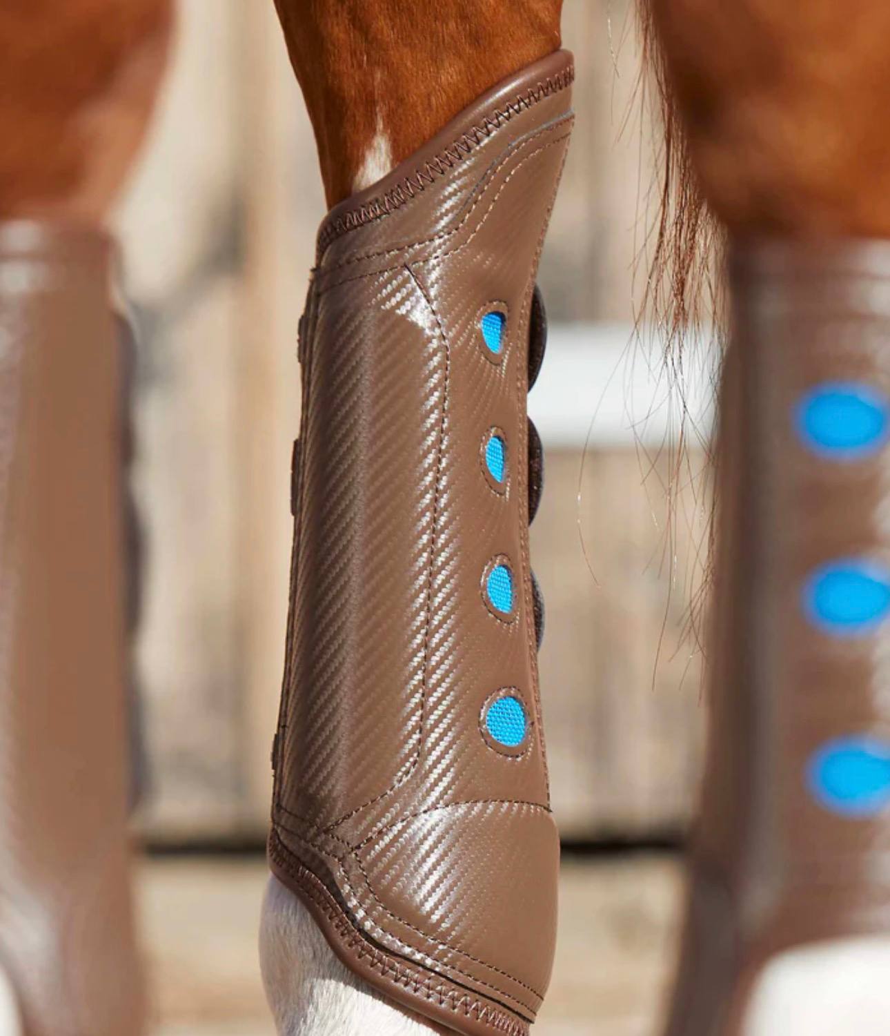 Carbon Tech Air Cooled Eventing Boots Brown Hind - Image 2